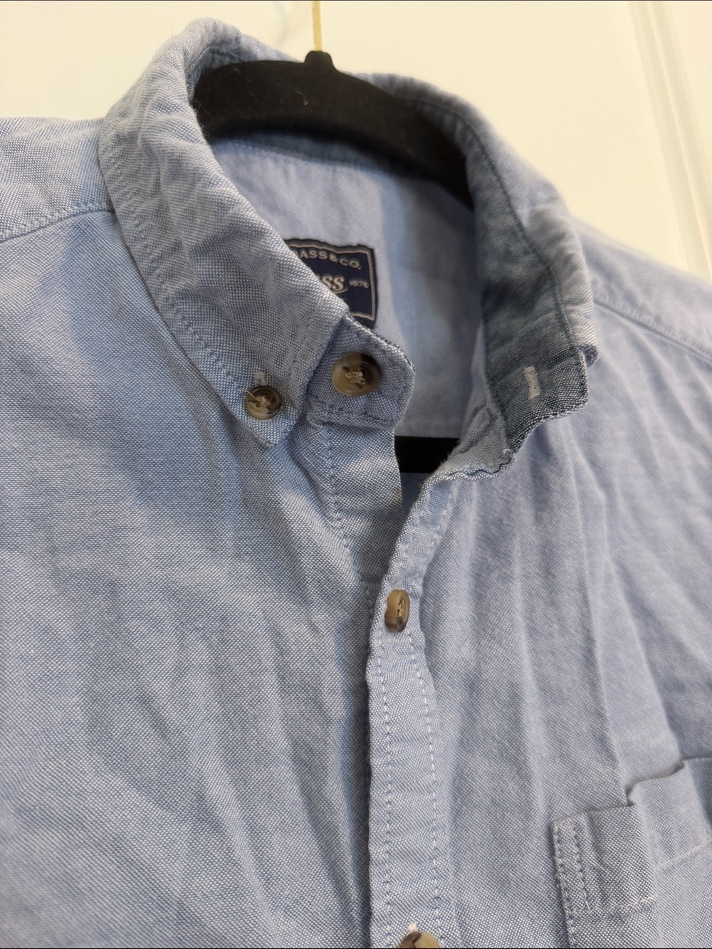 Bass Light Blue Casual Button-Down Oxford Shirt - Picture 5 of 6